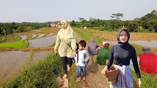 Aww  Bikin Baper, Mamah Muda Cantik, Seperti inilah Potret Kehidupan Di Kampung Pedalaman  Sukabumi