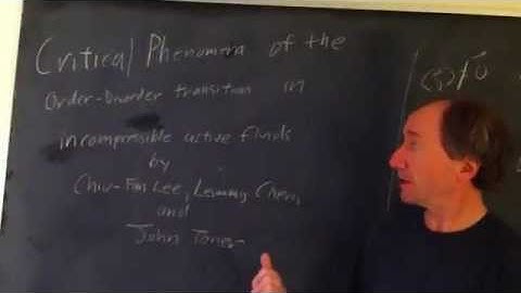 Critical phenomenon of the order–disorder transition in incompressible active fluids
