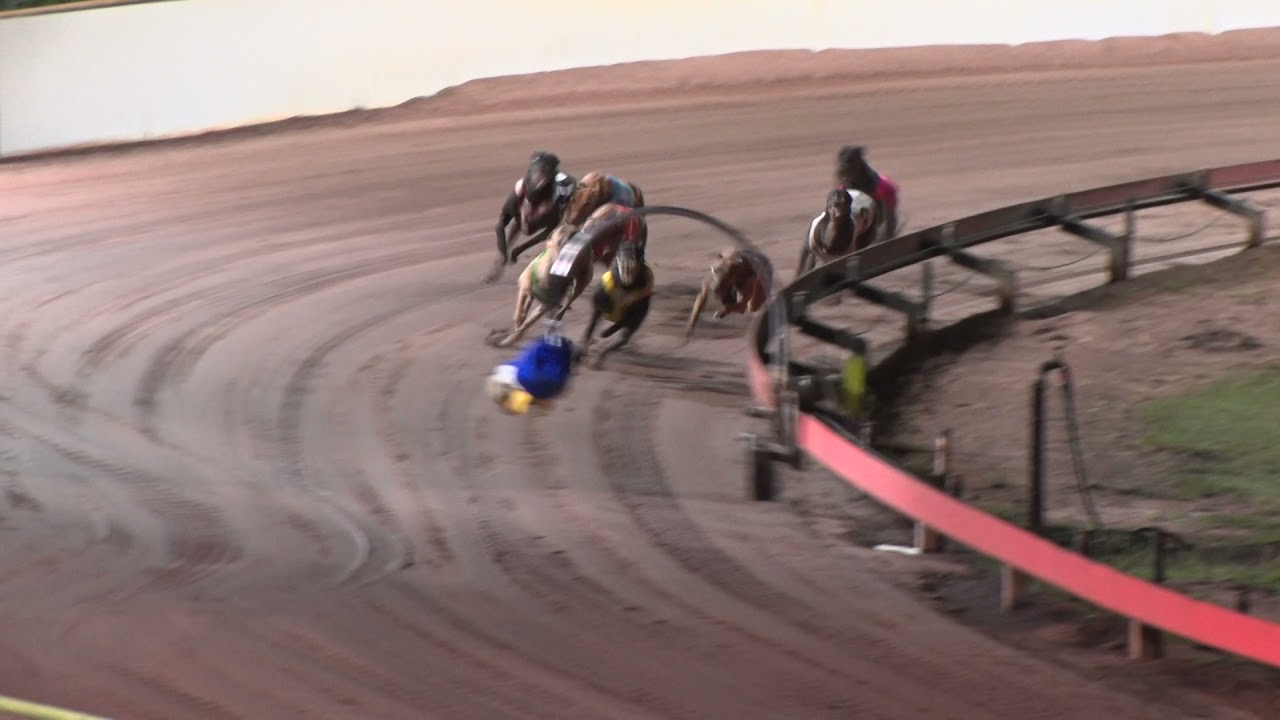 Darwin-16052021-Race-1 - YouTube