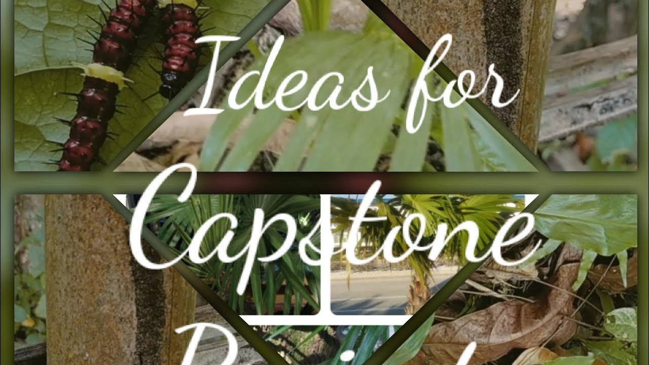 science capstone project ideas