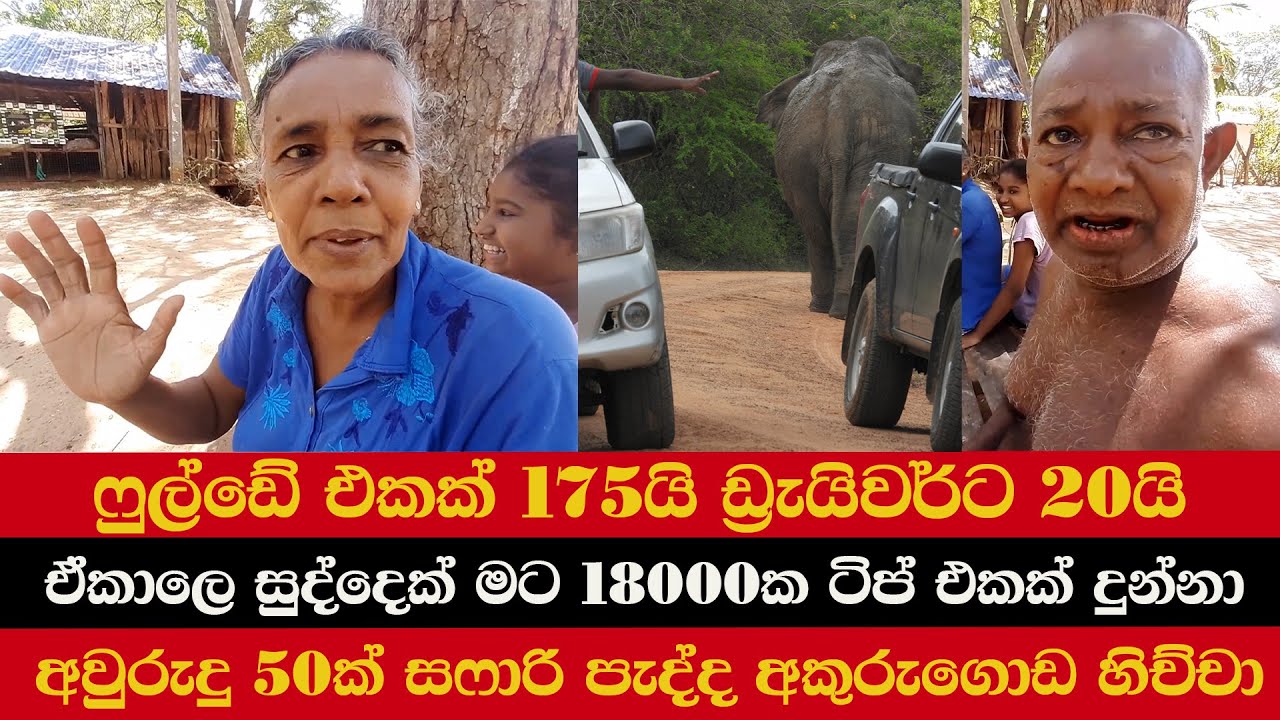 ෆුල්ඩේ එකක් 175යි | ඩ්‍රැයිවර්ට 20යි | ඒකාලෙ සුද්දෙක් 18000ක ටිප් එකක් දුන්නා | ඒවනේ මහත්තයො සෆාරි
