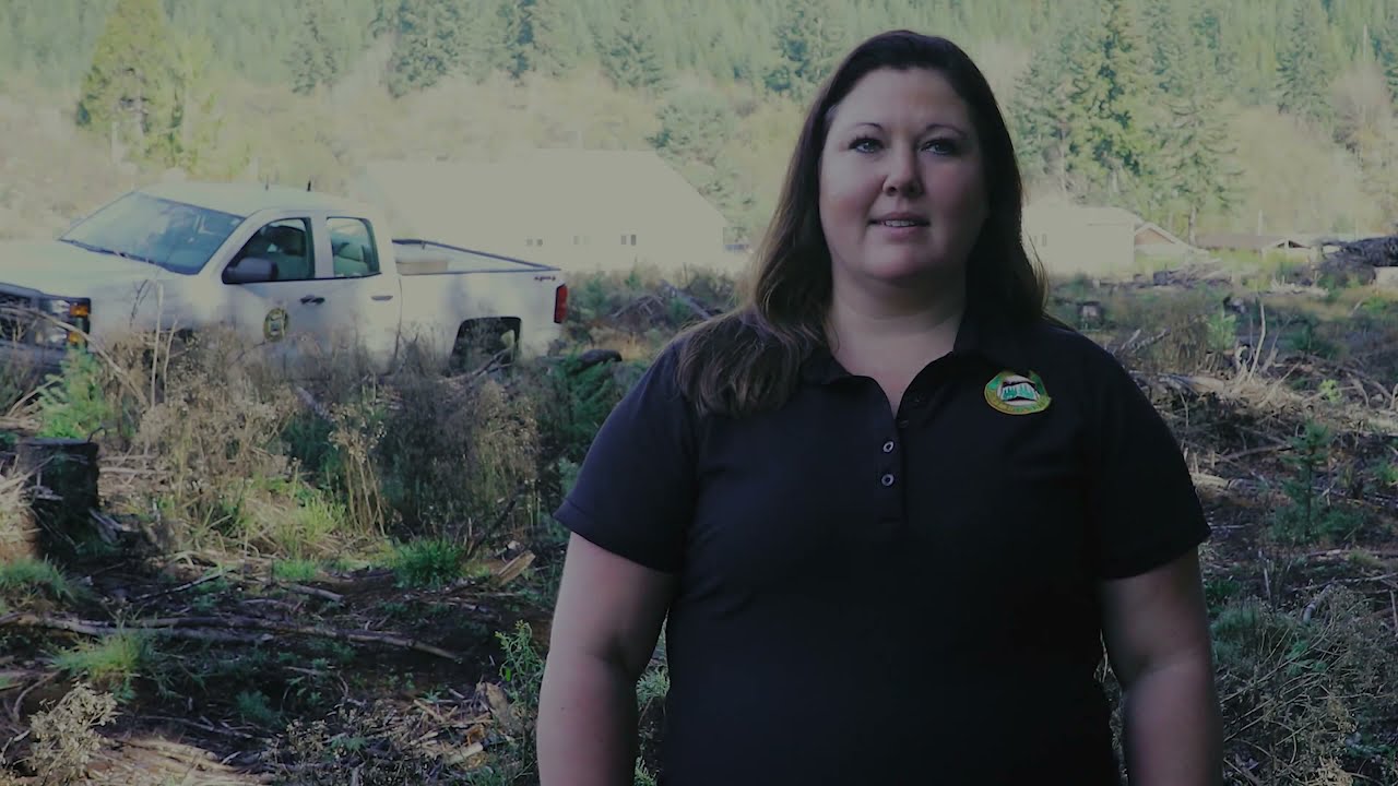 Helicopter Pesticide Application Buffers