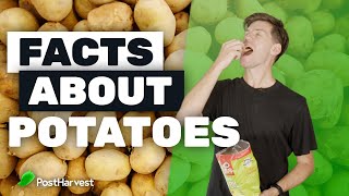Facts About Potatoes