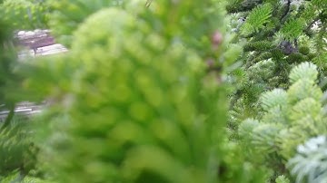 DJI Mavic Pro fail compilation 2018