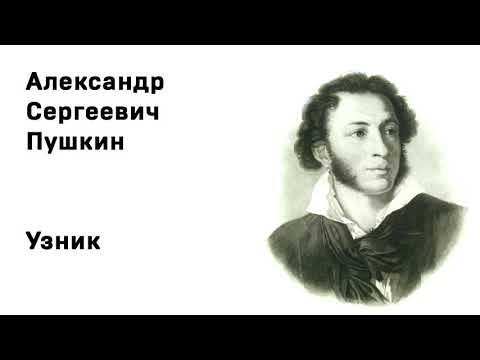 Александр Сергеевич Пушкин  Узник Учить стихи легко Аудио Стихи Слушать Онлайн