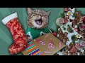 Penny S HAMTASTIC Christmas Morning 