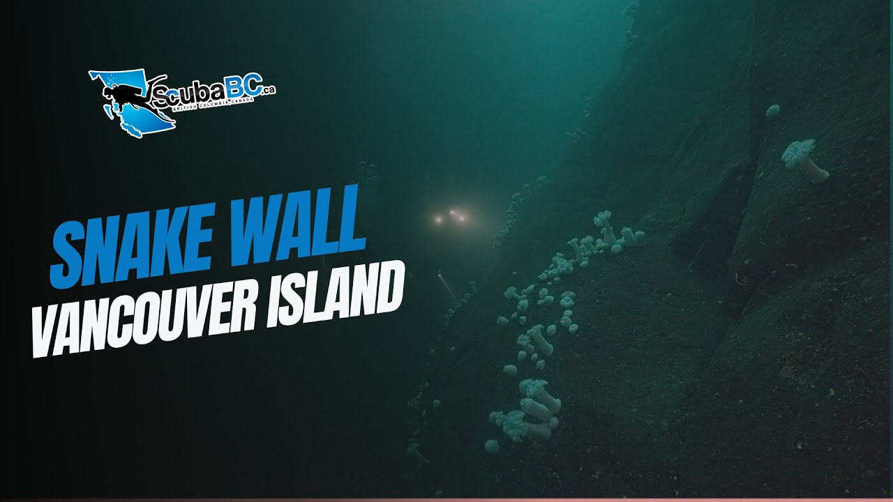 youtube-video-thumbnail