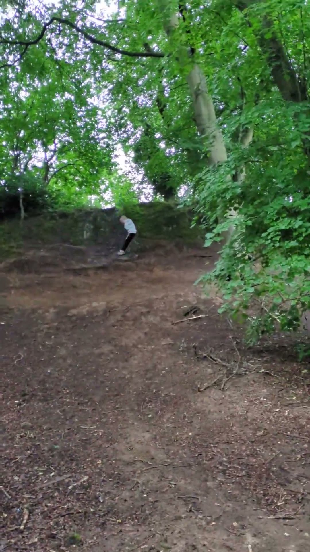 rope swing