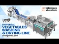 Universal vegetables washing  drying line  fruits and vegetables  ssec ssengrindia