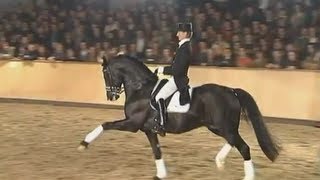 8 years old Totilas &amp; Edward Gal stallion show 2008