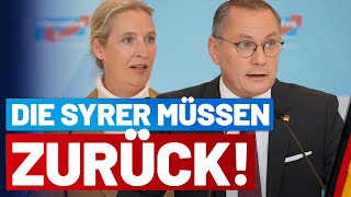Alice Weidel - YouTube