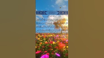 سوره الطارق بصوت القارئ ماهر المعيقلي #ماهر_المعيقلي #quran #قرآن #اكسبلور #funny #fyp #explore