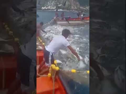 سبحان الله بحر يعطي من خيره كل يوم