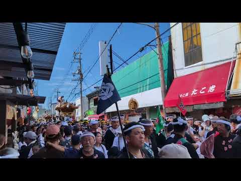 【HD高画質】岸和田だんじり祭 パレード 上町 南町 だんじり 令和6年 2024年9月14日