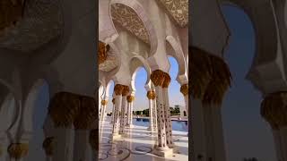 Dubai Grand Mosque in Abu Dhabi #shorts #shortsvideo  #amazingviralvideo