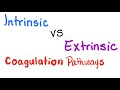 Intrinsic VS Extrinsic Coagulation pathways