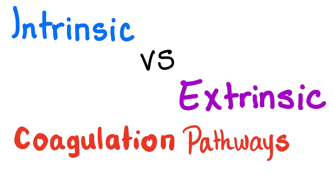 intrinsic คือ  2022 Update  Intrinsic VS Extrinsic Coagulation pathways