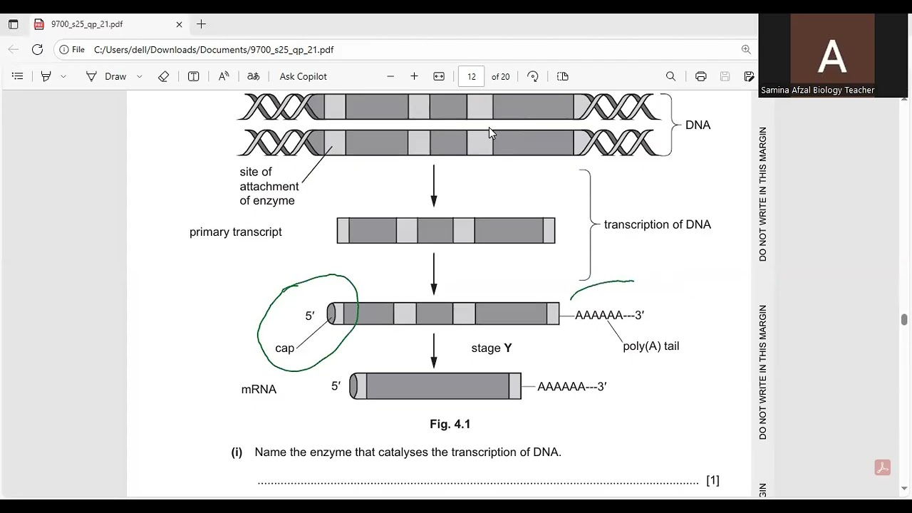 As Level Biology 9700 Paper21 May  June 2025 Q  4  (Part 3)