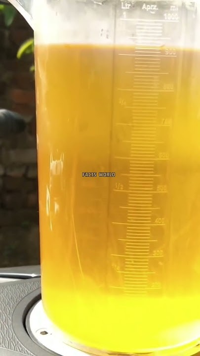 How Much Petrol Gets Wasted By Keeping A Bike Or Scooter In The Sun how-much-petrol-gets-wasted-by-keeping-a-bike-or-scooter-in-the-sun