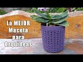 La MEJOR Maceta para Orquídeas Epífitas - Enero 2020 || Orquiplanet