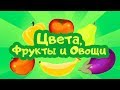 ЦВЕТА, ФРУКТЫ и ОВОЩИ. Цып-Цып ТВ. Образовательный мультфильм для малышей от 0 до 3 лет.