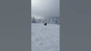 Snowmobile. #carving#sledding#snow#Artic cat#m12 #music #amongus#learning carving#11yearsold