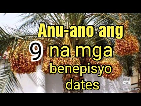 Video: Mga Basurang Bag: Mga Tampok At Benepisyo