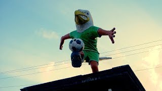 Download Lagu Brigata Curva Sud MP3 Brigata Curva Sud