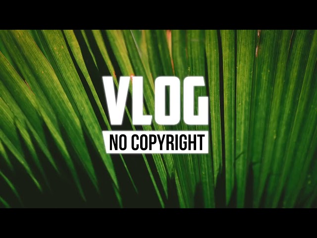 Niya   A Deliverance  Vlog No Copyright Music class=