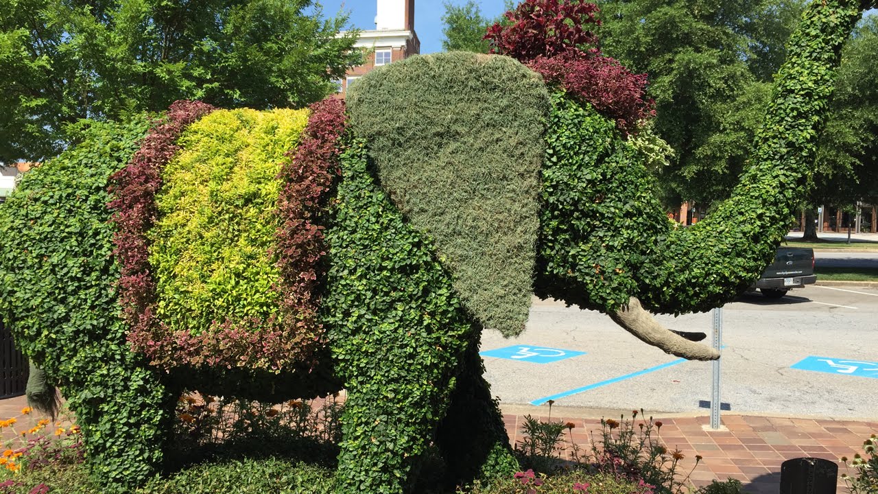 Making It Grow - The SC Festival of Flowers