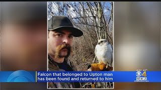 Westboro Firefighter Returns Missing Falcon To Upton Man
