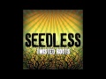 Seedless  reggae party