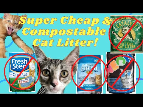 Videó: A macskák olcsóbb almozási lehetőségei