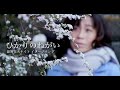 「ひかりのねがい」線香花火ナイト イメージソング Nami Nakagawa - Hikari No Negai