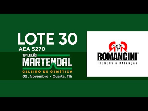 LOTE 30   AEA 5270