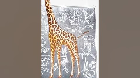 LSE 07 all important questions in ONE video