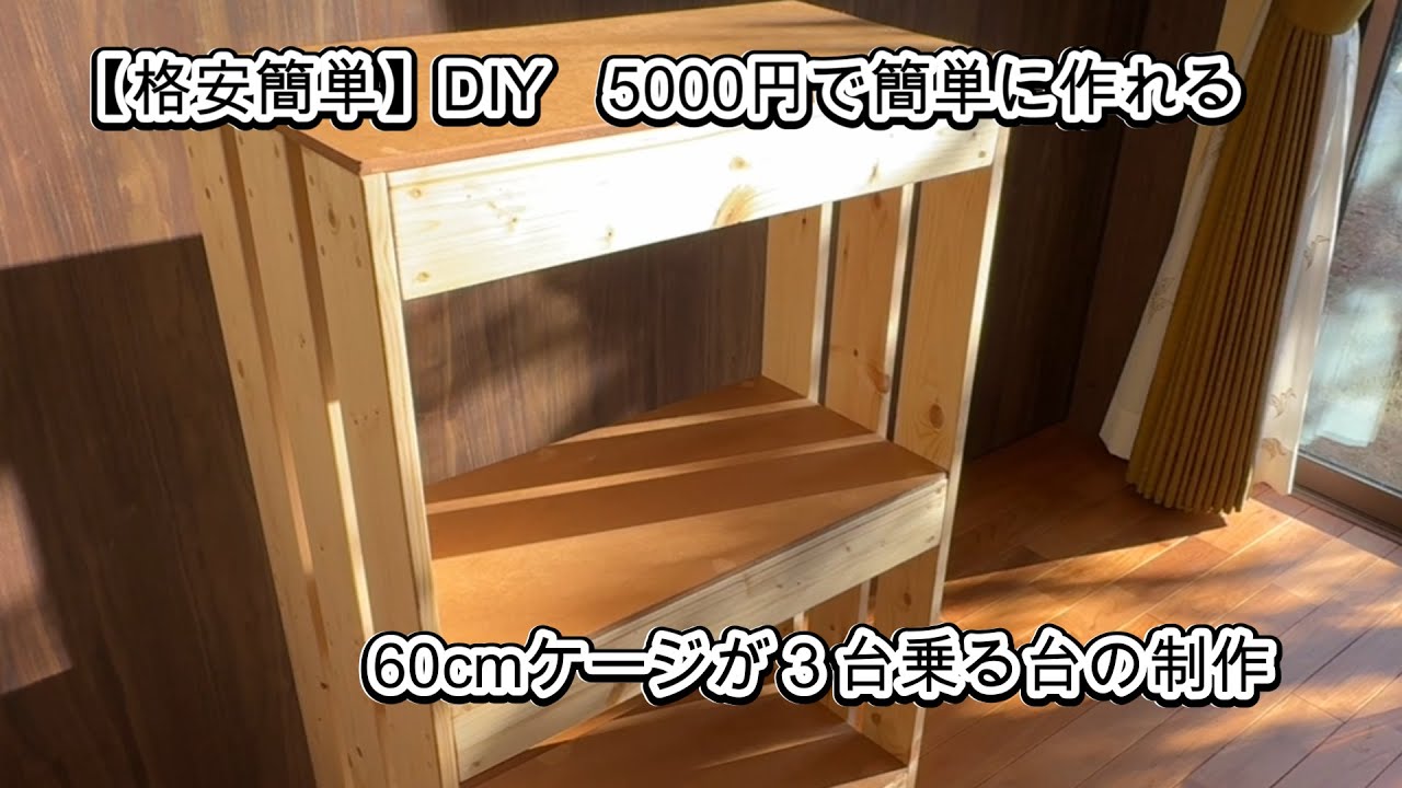 格安簡単】DIYでケージ台を制作 #paludarium #diy #ラック #爬虫類
