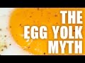 The Egg Yolk Myth