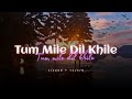 Stebin ben  tum mile dil khile slowed  reverb