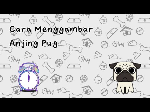 Video: Cara Menggambar Pug