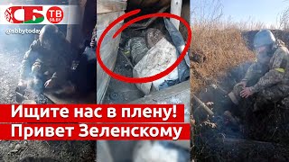 Рядом с трупами греют спину лопатой – правда от украинского солдата с позиции ВСУ