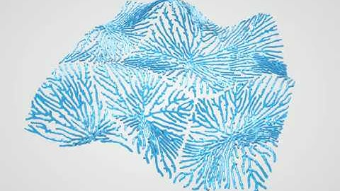 Slime Mold Network using Houdini and Octane Render