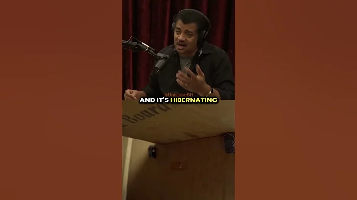 Bear And Cave Experiment🤔 w/ Neil deGrasse Tyson