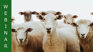 WEBINAR | De kracht van effectieve populatiegrootte | Noelle Hoorneman | Fokken met Verstand 2025