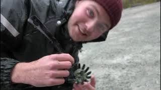 Peridotjakt på Åheim