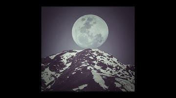 [وَعِبَادُ الرَّحْمَنِ الذِينَ يَمْشُونَ عَلَى الأَرْضِ هَوْنَا]./( القارئ عبدالرحمن الحميداني)