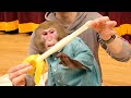 スクイーズのバナナが伸びることにめっちゃビビるお猿さんww【Fake banana prank】