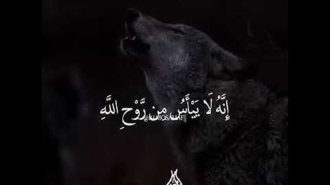 تلاوة عطرة من سورة يوسف بصوت القارئ الشيخ خالد الجليل #قناة_القرآن_الكريم #قليل_دائم_خير