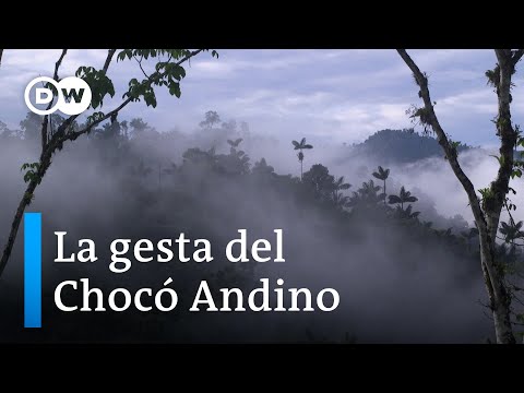 Por la vida, el agua y la naturaleza: Quito sin Minería