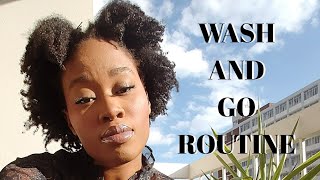 THE MOST MOISTURIZING WASH AND GO EVER! | Shea Moisture Curl Enhancing Smoothie Wash and Go Routine